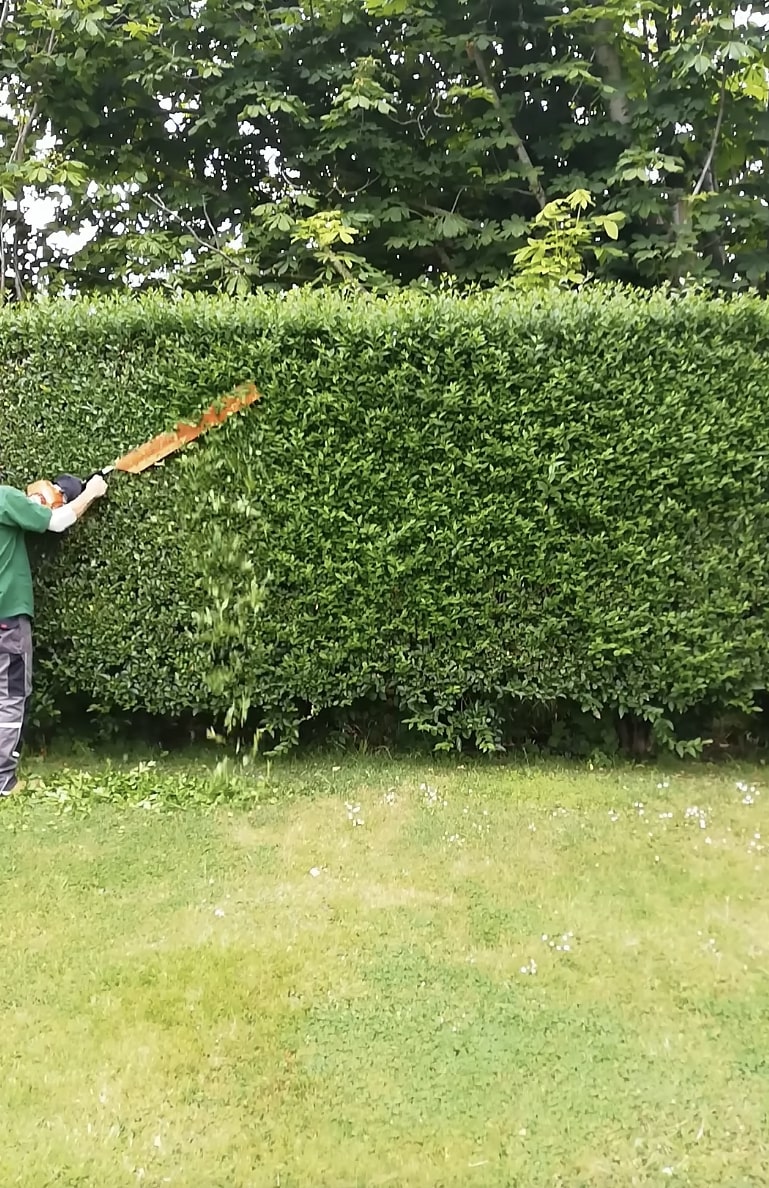 Professional hedge and shrub trimming services in Oak Ridge, TN
