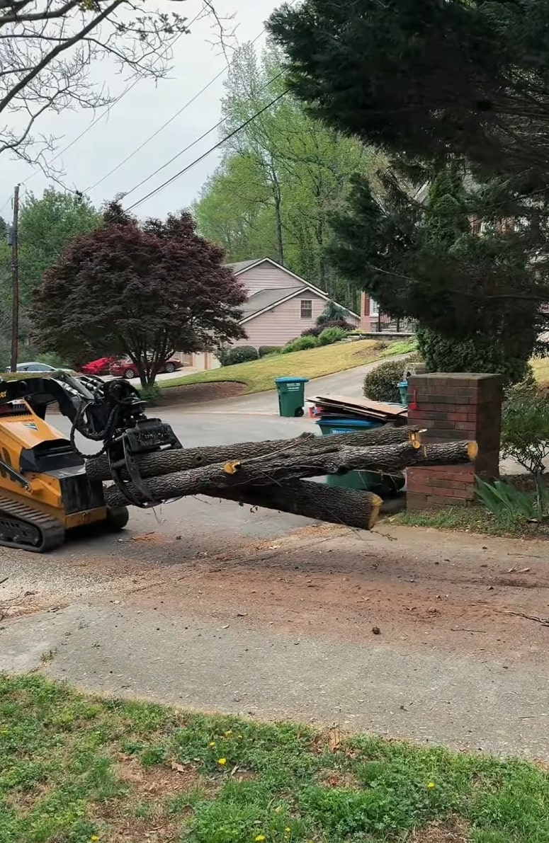 Professional tree removal with specialized equipment and logs ready for transport