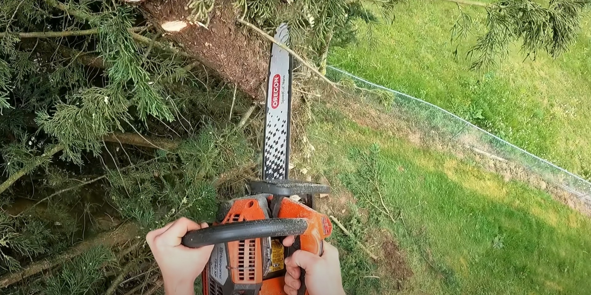 Professional chainsaw and tree cutting equipment for tree health maintenance