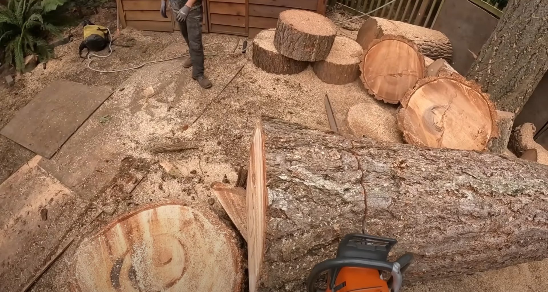 Tree sectioning and wood processing services