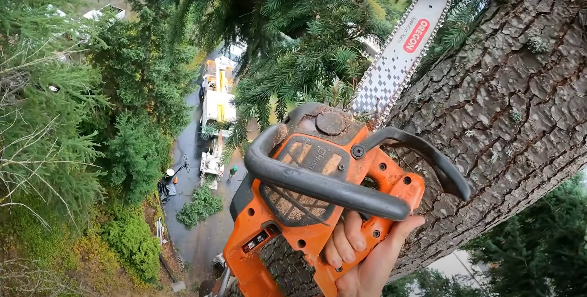 Oak Ridge Tree Service team showcasing local expertise