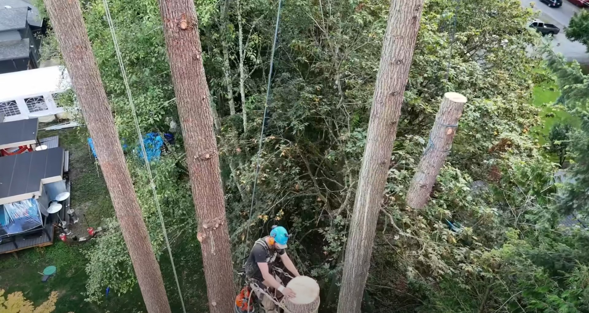 Aerial view of professional tree removal and land clearing project
