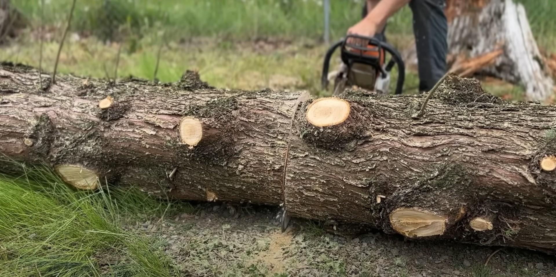 Professional tree cutting showing logs and chainsaw after storm damage cleanup
