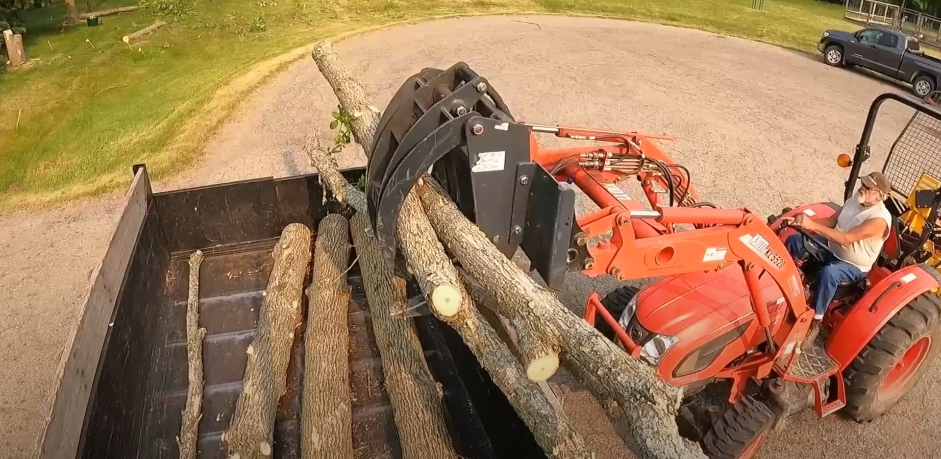 Professional tree trimming with specialized equipment
